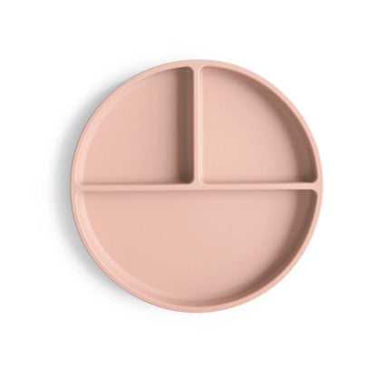 Plato de Silicón