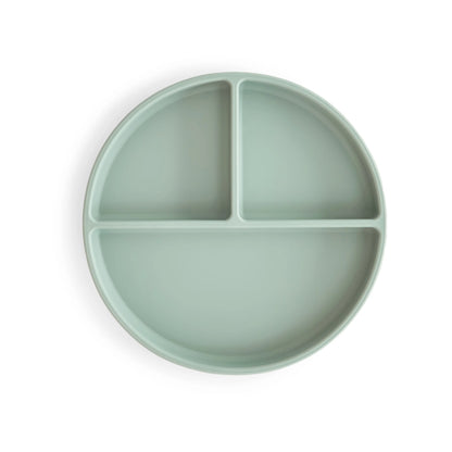 Plato de Silicón