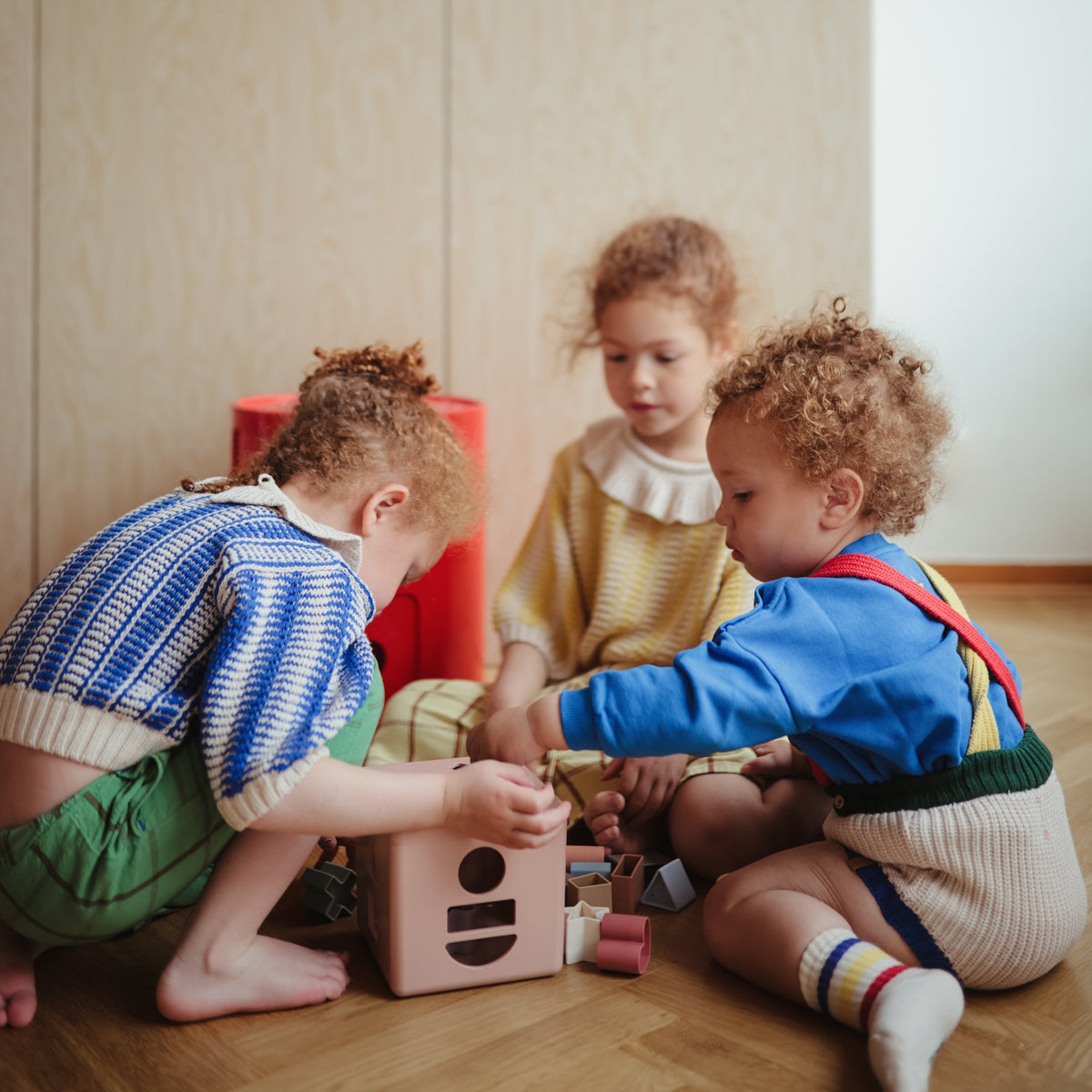 Shape Sorting Box - MSH
