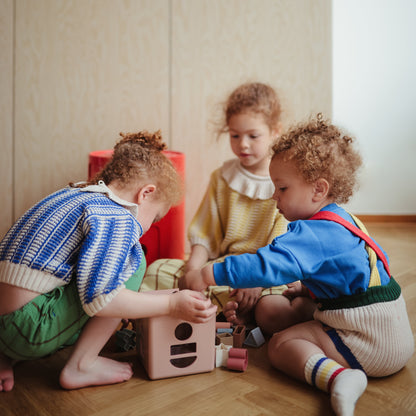 Shape Sorting Box - MSH