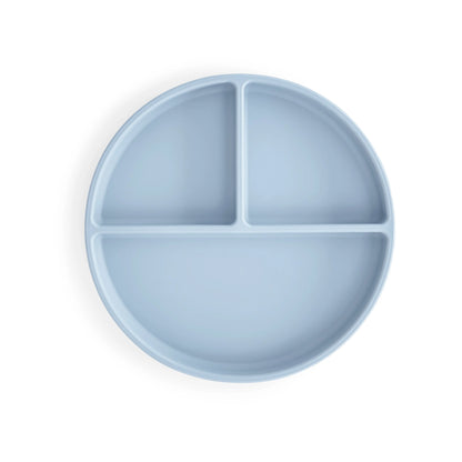 Plato de Silicón