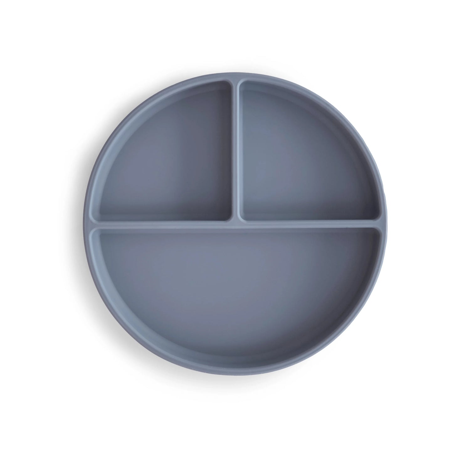 Plato de Silicón