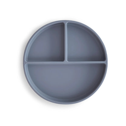Plato de Silicón