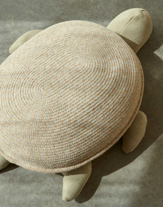 Canasta Turtle