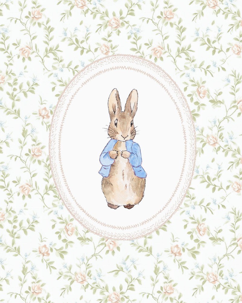 Cuadro Decorativo Peter Rabbit 4