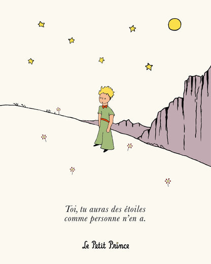 Cuadro Decorativo Principito 4