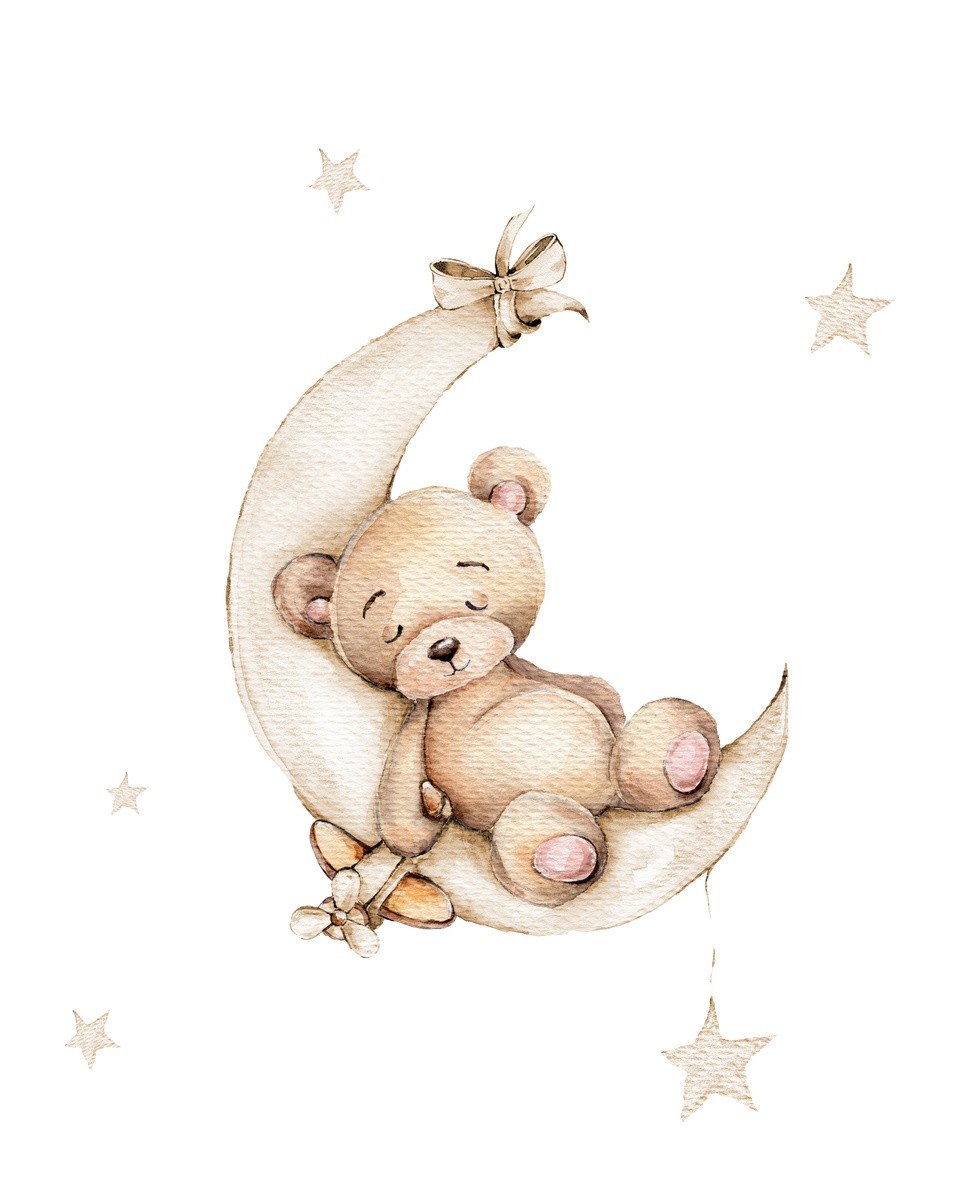 Cuadro Decorativo Sky Bear 2