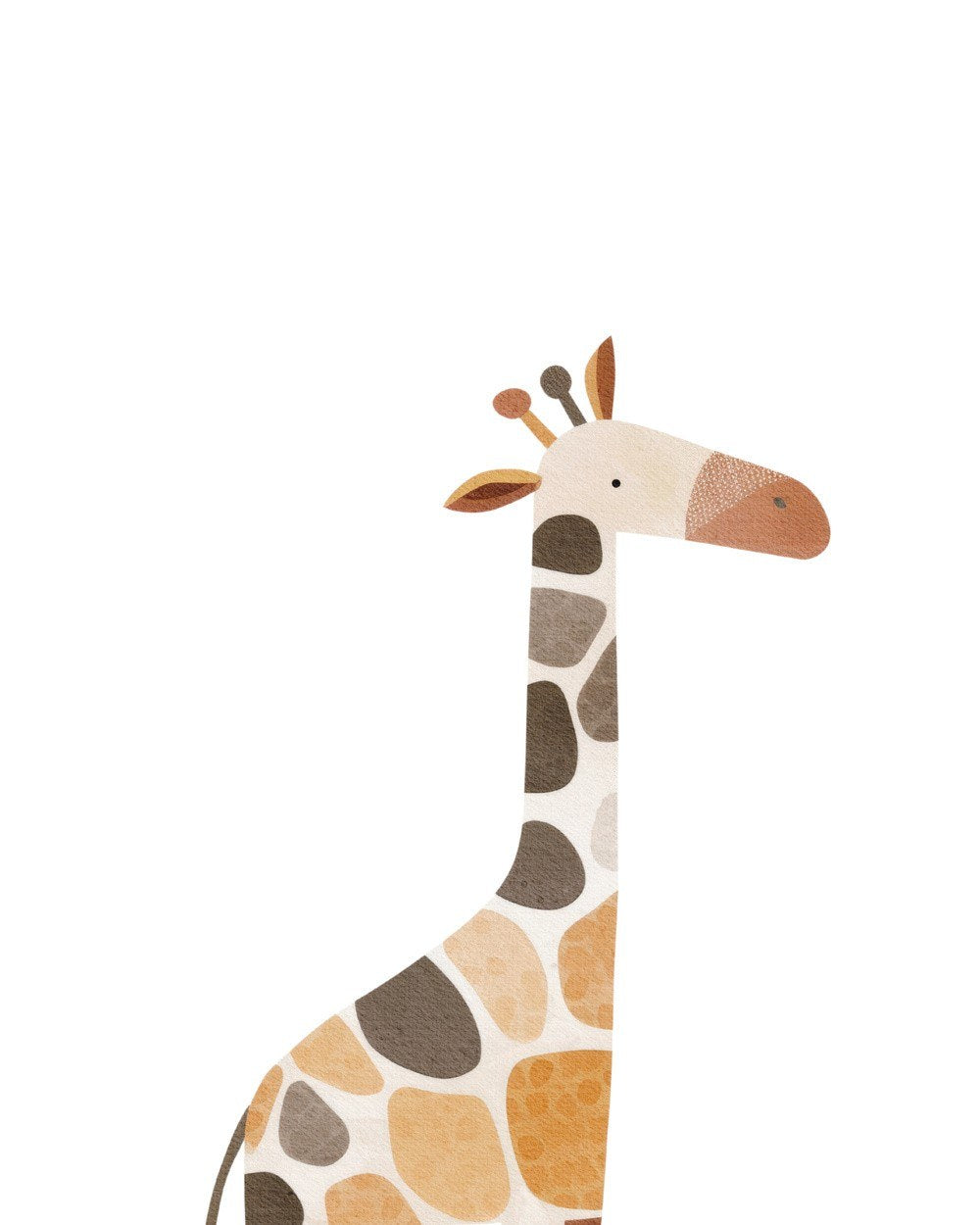 Cuadro Decorativo Zoo Animals 12