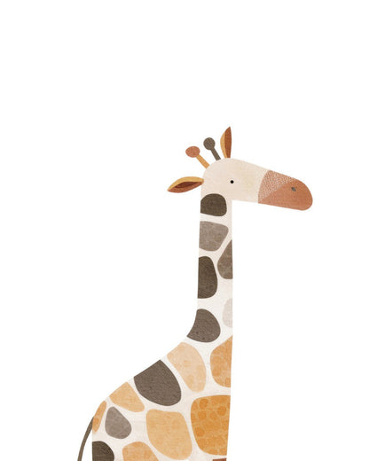 Cuadro Decorativo Zoo Animals 12