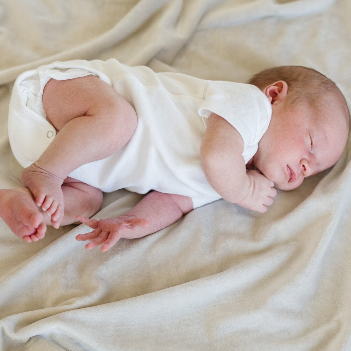 Cobija Minky Stretch - Buttermilk